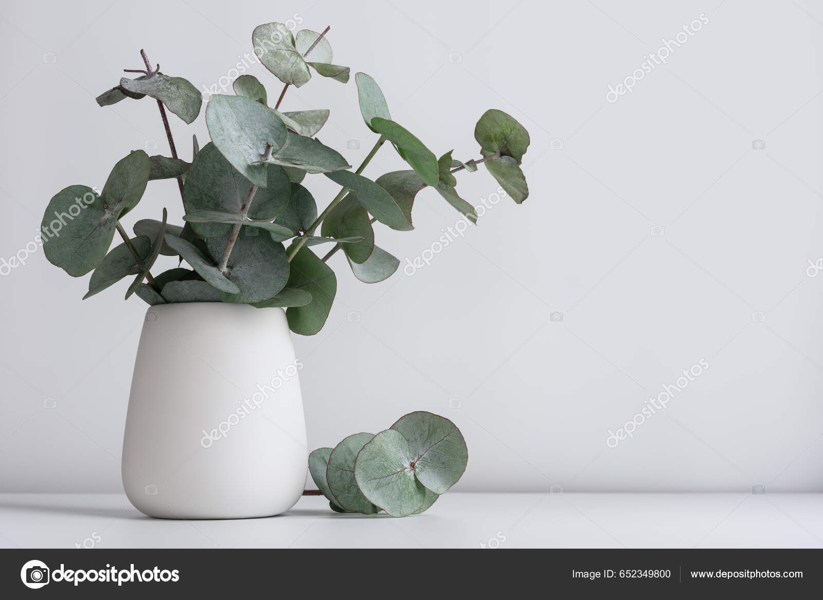 Gröna Eukalyptusblad Vas Vitt Bord Wellness Eller Spa Stilleben —  Stockfotografi © viktoriya89 #652349800