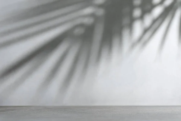 Schatten Von Palmblättern Auf Einem Grauen Betonwandhintergrund Tropenkonzept — Stockfoto