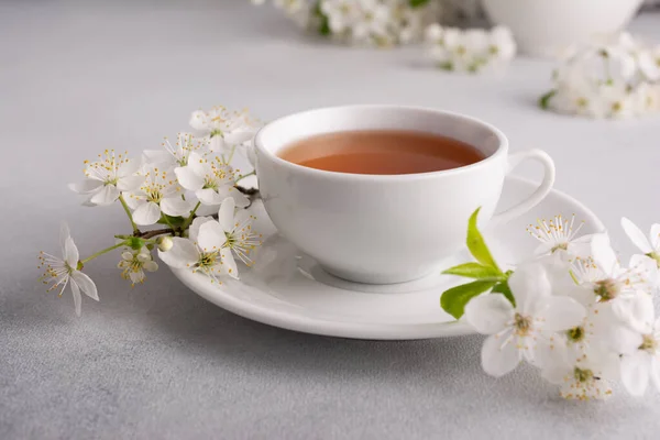 桌上放着一杯茶 上面有春天的樱花枝条 春天和舒适的概念 — 图库照片