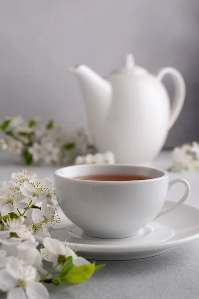 桌上放着一杯茶 上面有春天的樱花枝条 春天和舒适的概念 — 图库照片