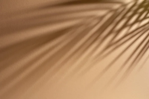 Абстрактный Фон Теней Пальмовых Листьев Песчаной Стене Концепция Летнего Пляжа — стоковое фото