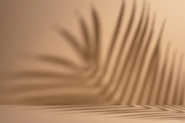 Αφηρημένο Φόντο Των Φύλλων Φοίνικα Σκιές Έναν Τοίχο Χρώμα Άμμου — Φωτογραφία Αρχείου