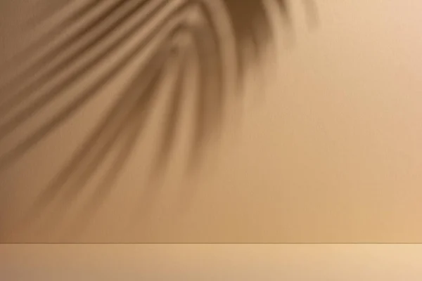 Абстрактный Фон Теней Пальмовых Листьев Песчаной Стене Концепция Летнего Пляжа — стоковое фото
