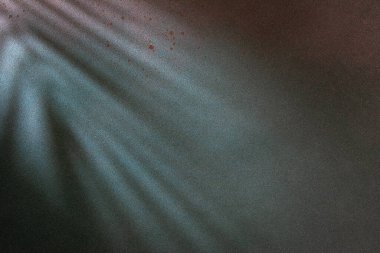 Karanlık bir duvardaki gölge palmiye yapraklarının soyut arkaplanı. Palmiye yapraklı yaz plajı konsepti.