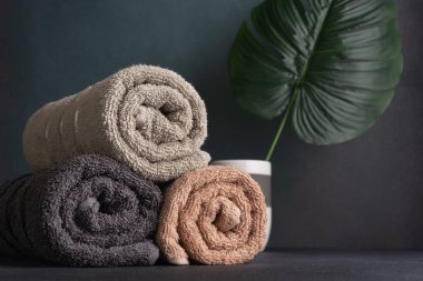 Dekor için rulo pamuk havlu ve canavar yaprağı. Banyo ve refah hala hayat.