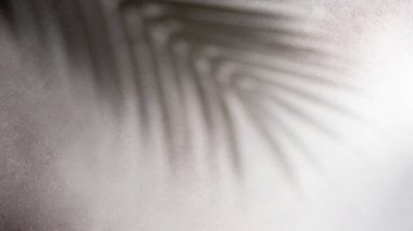 Solgun beton bir duvardaki gölgelerin soyut arka planında palmiye yaprakları. Palmiye yaprağı ile en az yaz konsepti