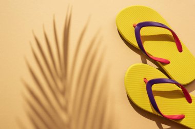 Palmiye yapraklı sarı parmak arası terlikler. Yaz arkaplanı kavramı.