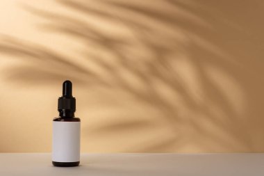 Kahverengi kozmetik şişesi. Palmiye yapraklarının gölgesi var. Doğal organik kozmetik ürünleri için şablon.