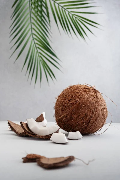 Whole coconut fruit and broken pieces on gray background with palm leaves