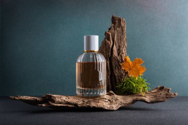 Still life photography of perfume glass bottle in an autumn natural style with a wood, moss, and fallen leaves. clipart