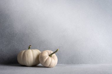 Sonbahar ve Şükran Günü tatilleri için gri arka planda minyatür balkabağı koleksiyonu