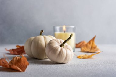 Minyatür balkabakları ve cam mumlar, sonbahar ve Şükran Günü tatilleri için gri arka planda rahat ev dekoru olarak kullanılıyor.