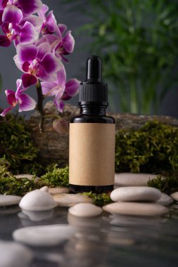 Doğal elementlerle çevrili kahverengi cam şişe canlı mor orkide, beyaz taşlar ve yeşil yosun da dahil olmak üzere bulanık yeşil arkaplan üzerine kurulmuş, dingin ve organik bir estetiği çağrıştırıyor. Organik banyo ürünleri için maket.