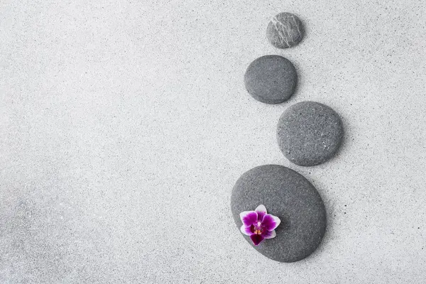 Zen Steine Und Rosa Orchideenblume Auf Grauem Hintergrund Mit Kopierraum — Stockfoto
