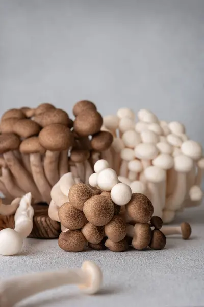 Cogumelos Shimeji Castanhos Brancos Frescos Sobre Fundo Cinzento Asiático Cultivado Imagem De Stock