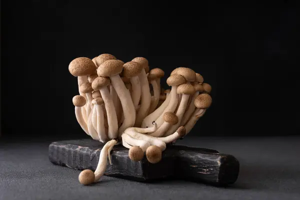 Cogumelos Shimeji Castanhos Frescos Sobre Fundo Escuro Asiático Cultivado Mashrooms Fotografia De Stock