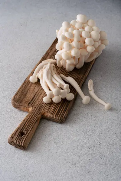 Färsk Vit Shimeji Svamp Grå Bakgrund Asiatiska Odlade Ätbara Mashrooms Stockfoto