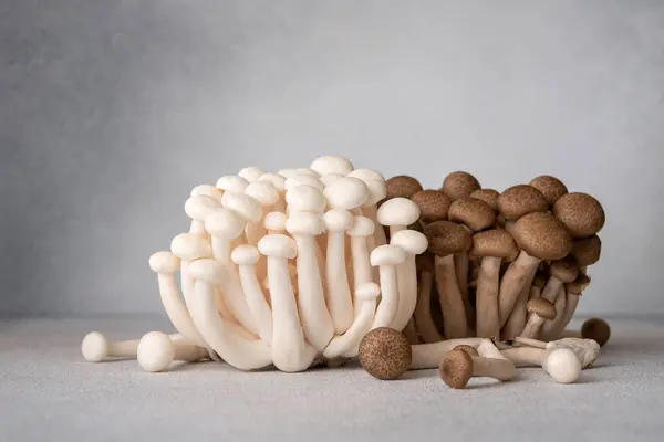 Fresh Brown White Shimeji Mushrooms Gray Background Asian Cultivated Edible 免版税图库照片