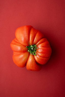 Dolgun, canlı kırmızı aile yadigarı domatesler, tatlı su damlacıklarıyla parıldıyor, kırmızı arka planda izole edilmiş sulu ve zengin bir tat. Sağlıklı, organik gıda kavramı 