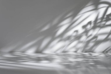 Yumuşak gölgeli ürün sunumu ve beyaz duvardaki palmiye yapraklarından gelen ışık için minimal açık gri arkaplan.