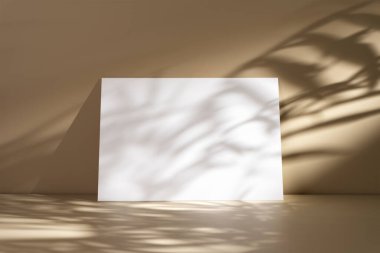 Minimalist bej arka plan, boş beyaz bir poster, soyut ve modern bir kompozisyon için zıtlık ve gölge oyunu yaratıyor. Tasarım, sanat veya grafik sunum kavramları için ideal.