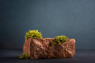 Yeşil yosunlu desenli taş podyum, ürün gösterimi veya doğal tarzda sunum için ideal.