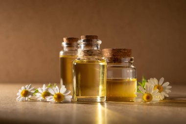 Taze papatya çiçekleriyle çevrili, içi papatya yağı dolu cam şişe. Doğal cilt bakımı, sağlık ve aromaterapi kavramı..