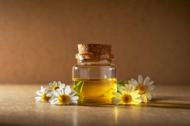 Taze papatya çiçekleriyle çevrili, içi papatya yağı dolu cam şişe. Doğal cilt bakımı, sağlık ve aromaterapi kavramı..