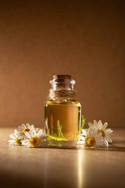 Taze papatya çiçekleriyle çevrili, içi papatya yağı dolu cam şişe. Doğal cilt bakımı, sağlık ve aromaterapi kavramı..