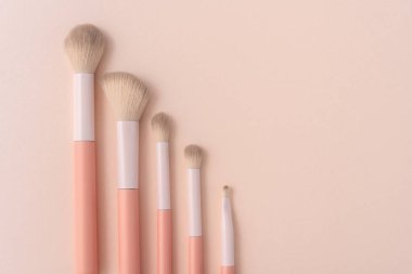 Pastel arka planda beş tane yumuşak pembe makyaj fırçası var. Kozmetik markalaşma, ürün sunumu, reklam veya güzellik endüstrisi tasarım projeleri için minimalist modelleme şablonu.