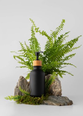 Kayaların ve yosunların üzerinde bambu kapaklı, yeşil eğreltiotu yapraklarıyla çevrili siyah kozmetik şeker şişesi. Minimalist arka planda doğal çevre dostu cilt bakımı.