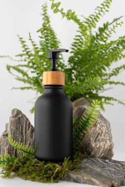 Kayaların ve yosunların üzerinde bambu kapaklı, yeşil eğreltiotu yapraklarıyla çevrili siyah kozmetik şeker şişesi. Minimalist arka planda doğal çevre dostu cilt bakımı.