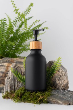 Kayaların ve yosunların üzerinde bambu kapaklı, yeşil eğreltiotu yapraklarıyla çevrili siyah kozmetik şeker şişesi. Minimalist arka planda doğal çevre dostu cilt bakımı.