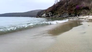 Gök mavisi dalgalar köpüğe dönüşür. Vahşi yaşamın durağan manzarasını izlemek için. Arka plandaki tepeler mor çiçek çalılarıyla kaplıdır. Yalnız bir adam sahilde oturur ve fotoğraflarını çeker..