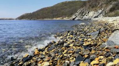 Kıyı şeridinde karanlık ve aydınlık taşların karışımı. Gök mavisi dalga geliyor, beyaz köpüğe dönüşüyor ve güneşte parlıyor. Arka plandaki tepeler ormanla kaplı. El değmemiş vahşi yerlerde turist tatili..