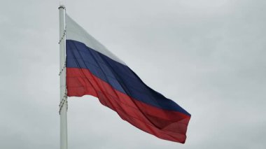 Rusya Federasyonu 'nun ulusal bayrağı üç renkli. Devasa bayrak direğinden rüzgarda görkemli bir şekilde sallanıyor. Arka planda gri, bulutlu bir gökyüzü duruyor. Rusya hakkındaki politik haberler için kullanılıyor..