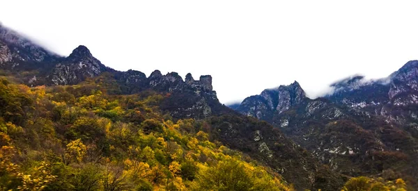 Montanhas Místicas Floresta Outono Nevoeiro Sobre Montanhas — Fotografia de Stock
