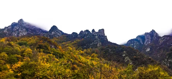 神秘的な山と秋の森 山の上の霧 — ストック写真