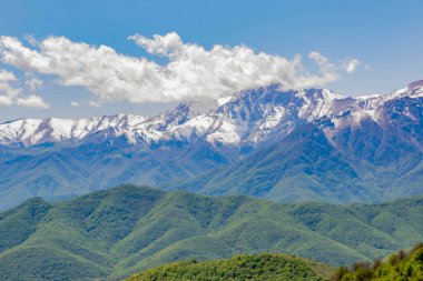 Yeşil tarlalar ve dağlar. Dağları ve yeşil ormanları olan güzel bir manzara.