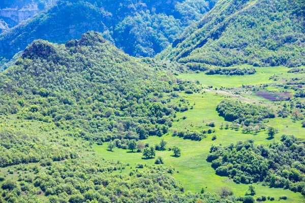 Campos Verdes Montañas Hermoso Paisaje Con Montañas Bosques Verdes —  Fotos de Stock