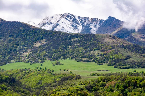 緑のフィールドと山 山と緑の森の美しい風景 — ストック写真