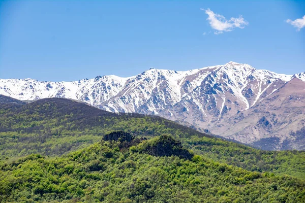 Campi Verdi Montagne Bellissimo Paesaggio Con Montagne Boschi Verdi — Foto Stock