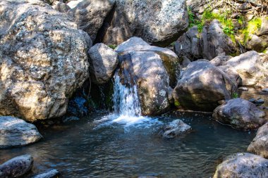 Nehir ve küçük şelale. Güzel doğa.
