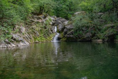Küçük göl ve şelale. Ormanda güzel bir şelale