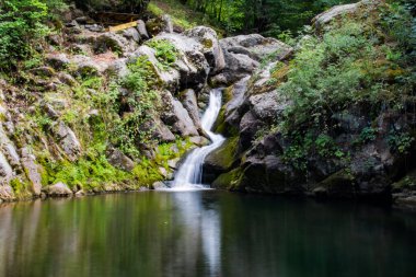 Küçük göl ve şelale. Ormanda güzel bir şelale