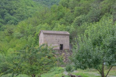 Ormandaki eski küçük tapınak