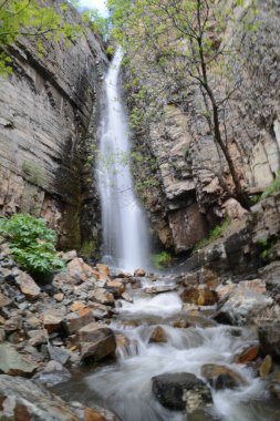 Ormanda şelale. Uzun şelale