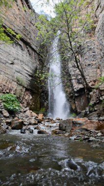 Ormanda şelale. Uzun şelale
