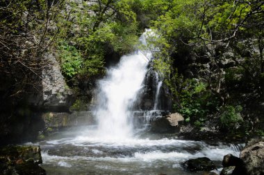 İsrail 'in kuzeyindeki dağlarda şelale.