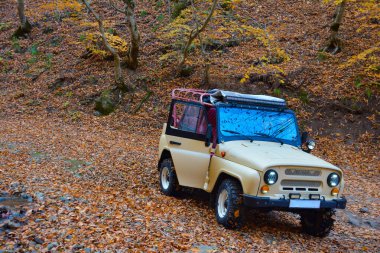 Sonbahar ormanında SUV arabası